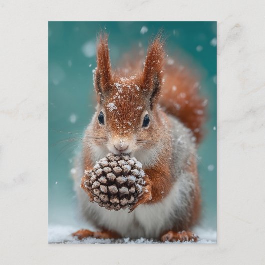 Rotes Eichhörnchen im Schnee mit Pinecone Postkarte (Vorderseite)