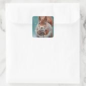 Rotes Eichhörnchen im Schnee mit Pinecone Quadratischer Aufkleber (Tasche)