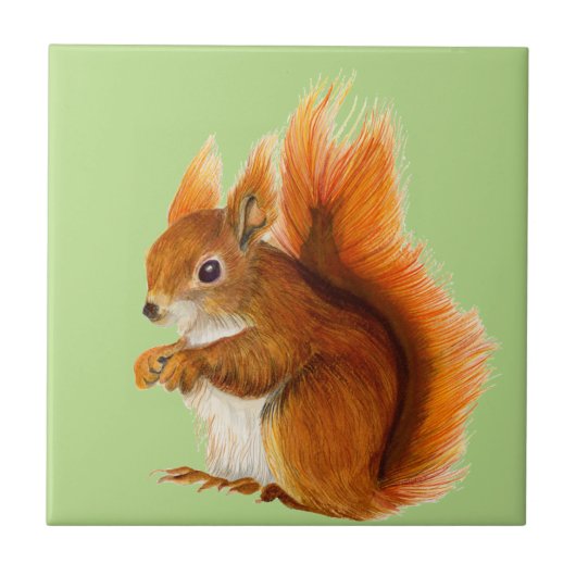 Rotes Eichhörnchen in Aquarellfarben Kunst, Dichtu Fliese (Vorderseite)