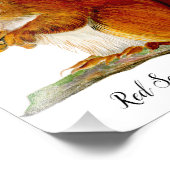 Rotes Eichhörnchen in Aquarellfarben Kunst, Dichtu Fotodruck (Ecke)