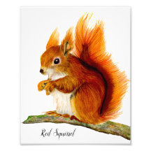 Rotes Eichhörnchen in Aquarellfarben Kunst, Dichtu
