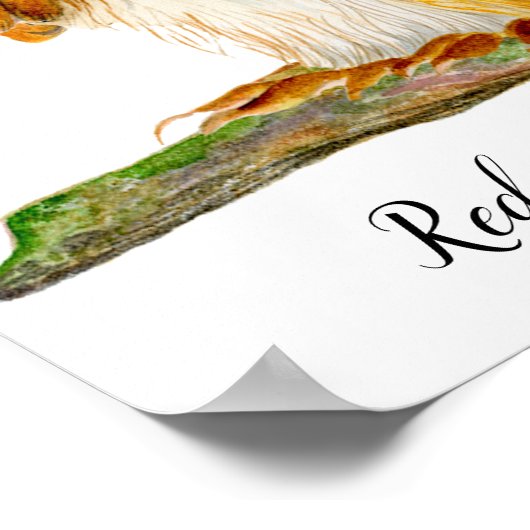 Rotes Eichhörnchen in Aquarellfarben Kunst, Dichtu Poster (Ecke)