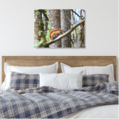 Rotes Eichhörnchen in Holz Leinwanddruck (Insitu (Schlafzimmer))