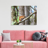 Rotes Eichhörnchen in Holz Leinwanddruck (Insitu (Wohnzimmer))