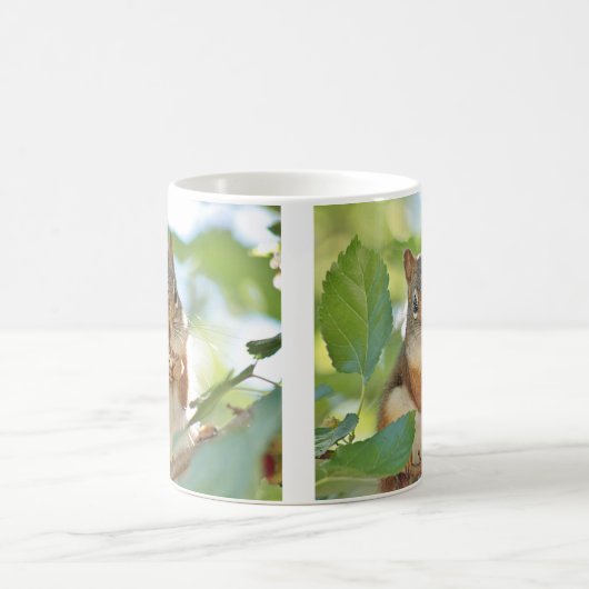 Rotes Eichhörnchen Kaffeetasse (Mittel)