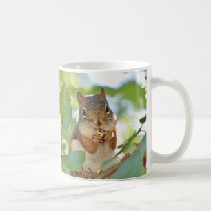 Rotes Eichhörnchen Kaffeetasse