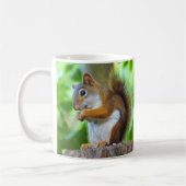 Rotes Eichhörnchen Kaffeetasse (Links)