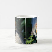 Rotes Eichhörnchen Kaffeetasse (Mittel)