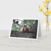 Rotes Eichhörnchen Karte (Gelbe Blume)