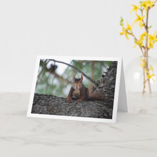 Rotes Eichhörnchen Karte (Gelbe Blume)