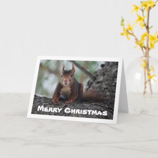 Rotes Eichhörnchen Karte (Gelbe Blume)