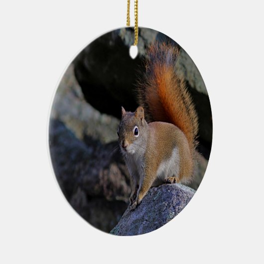 Rotes Eichhörnchen Keramik Ornament (Rechts)