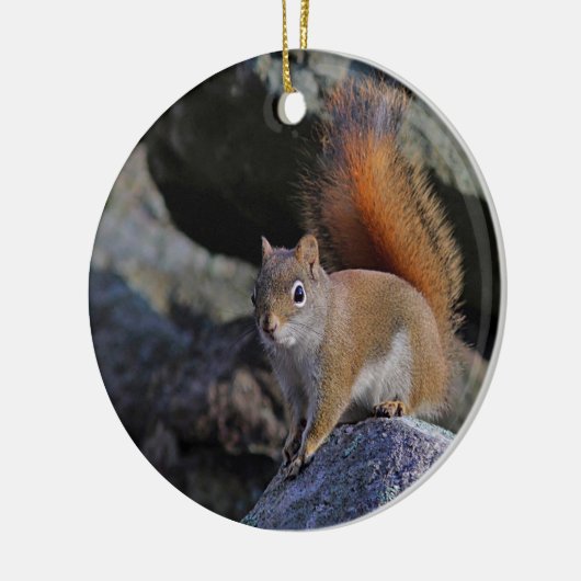 Rotes Eichhörnchen Keramik Ornament (Links)