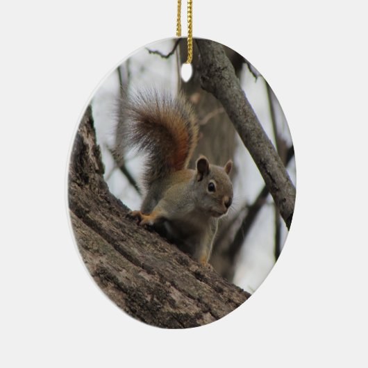 Rotes Eichhörnchen Keramik Ornament (Rechts)