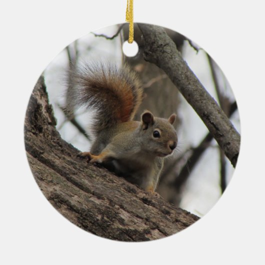 Rotes Eichhörnchen Keramik Ornament (Hinten)