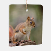 Rotes Eichhörnchen Keramikornament (Rechts)