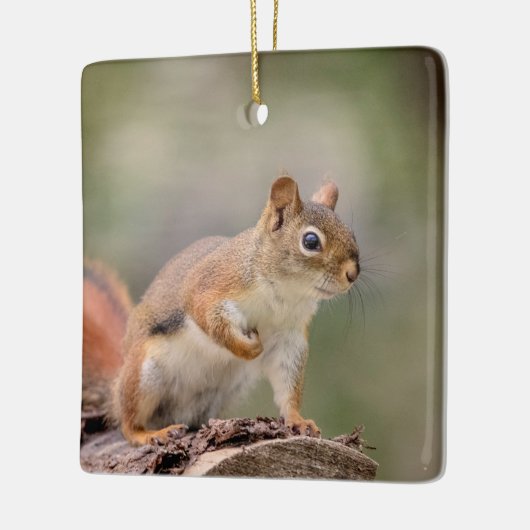 Rotes Eichhörnchen Keramikornament (Links)