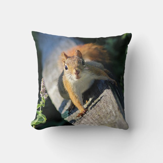 Rotes Eichhörnchen Kissen (Vorderseite)