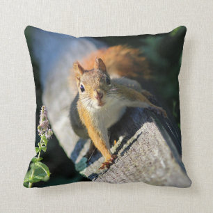 Rotes Eichhörnchen Kissen