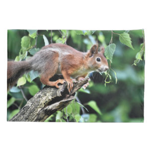 Rotes Eichhörnchen Kissenbezug