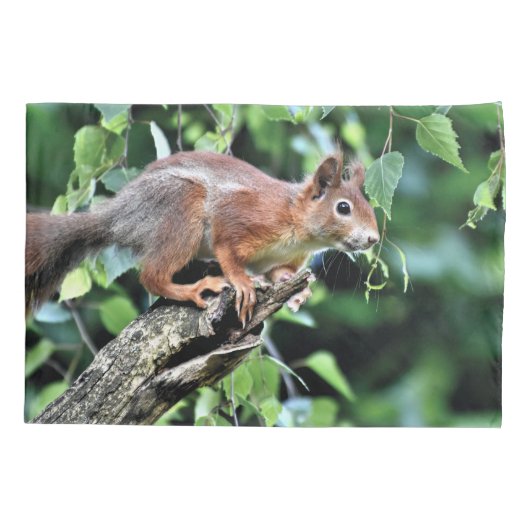 Rotes Eichhörnchen Kissenbezug (Rückseite)