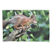 Rotes Eichhörnchen Kissenbezug (Vorderseite)