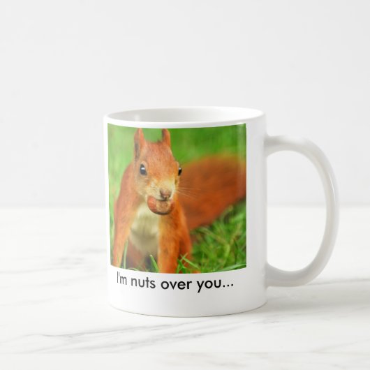 Rotes Eichhörnchen mit einer Nuss, bin ich über Kaffeetasse (Rechts)