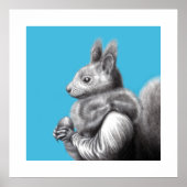 Rotes Eichhörnchen mit grauem Eichhörnchen Fur Sca Poster (Vorne)