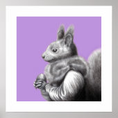 Rotes Eichhörnchen mit grauem Eichhörnchen Fur Sca Poster (Vorne)