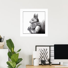 Rotes Eichhörnchen mit grauem Eichhörnchen Fur Sca Poster