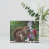 Rotes Eichhörnchen mit Petunias Postkarte (Stehend Vorderseite)
