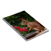 Rotes Eichhörnchen mit Roter Blume Bush Notizblock (Rechte Seite)