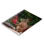 Rotes Eichhörnchen mit Roter Blume Bush Notizblock (Linke Seite)