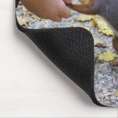 Rotes Eichhörnchen Mousepad (Ecke)