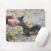 Rotes Eichhörnchen Mousepad (Mit Mouse)