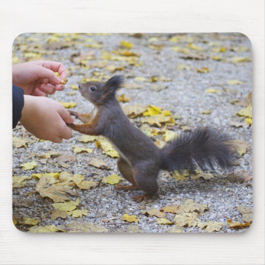 Rotes Eichhörnchen Mousepad (Vorne)