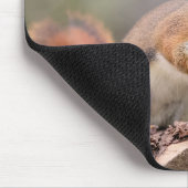 Rotes Eichhörnchen Mousepad (Ecke)