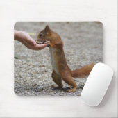 Rotes Eichhörnchen Mousepad (Mit Mouse)