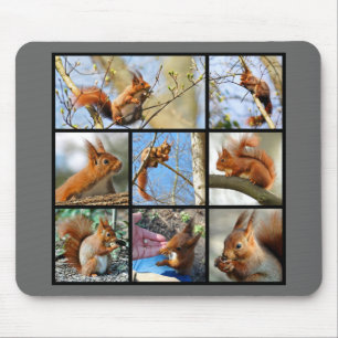 Rotes Eichhörnchen Mousepad