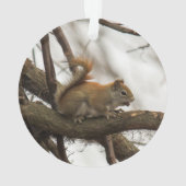 Rotes Eichhörnchen Ornament (Rückseite)