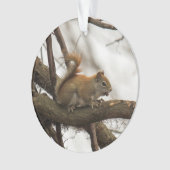 Rotes Eichhörnchen Ornament (Vorderseite)