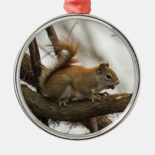 Rotes Eichhörnchen Ornament Aus Metall