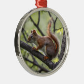 Rotes Eichhörnchen Ornament Aus Metall (Rechts)