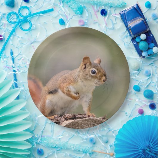 Rotes Eichhörnchen Pappteller (Party)