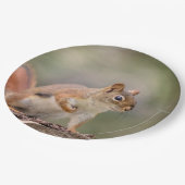 Rotes Eichhörnchen Pappteller (Schrägansicht)