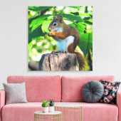 Rotes Eichhörnchen-Portrait Leinwanddruck (Insitu (Wohnzimmer))