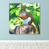 Rotes Eichhörnchen-Portrait Leinwanddruck (Insitu (Holzboden))