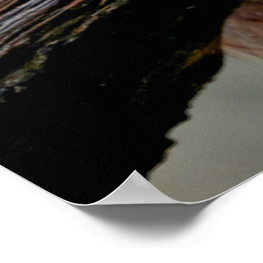 Rotes Eichhörnchen Poster (Ecke)