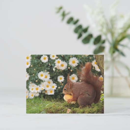 Rotes Eichhörnchen Postkarte (Stehend Vorderseite)