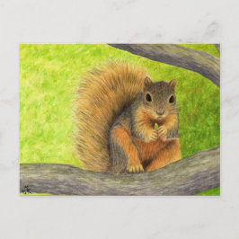 Rotes Eichhörnchen Postkarte